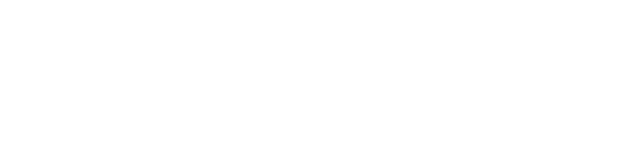 Sequoia Scout Fund